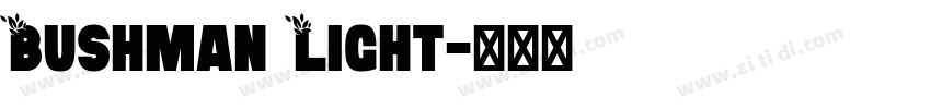 Bushman Light字体转换